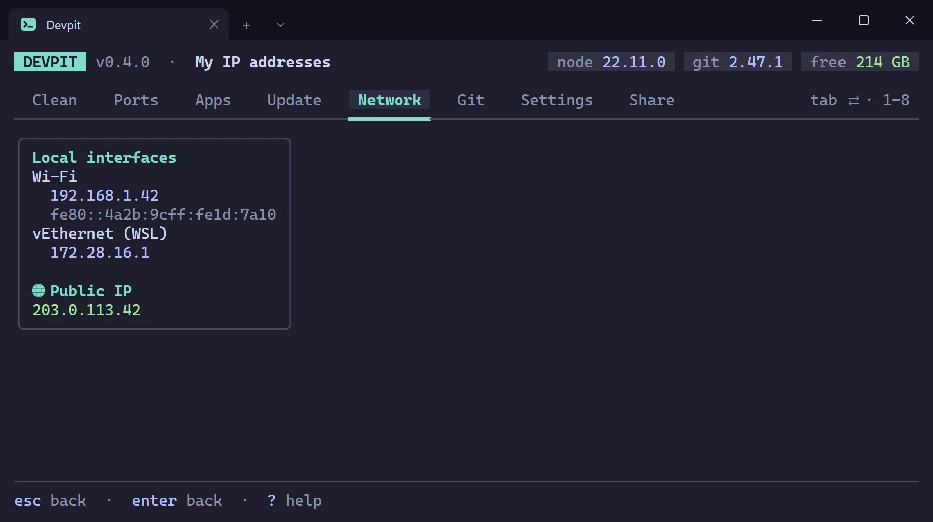 My IP addresses card listing local interfaces with their IPv4 and IPv6 addresses and the public IP address below